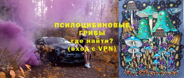 PSILOCYBIN Богородицк